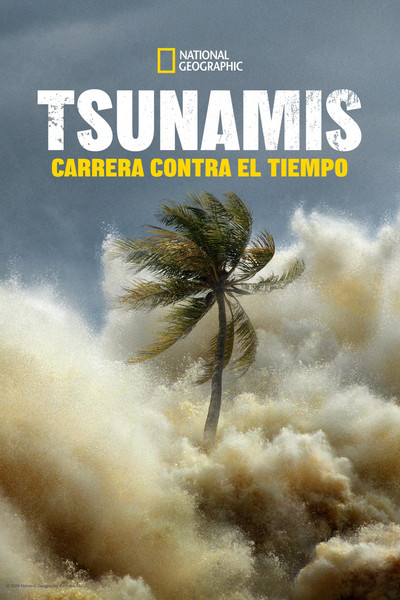 Póster de Tsunami: Carrera contra el tiempo