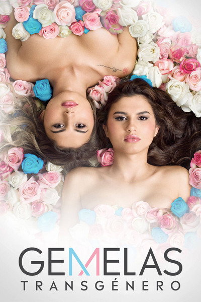 Póster de TV Novel: Dear My Sister