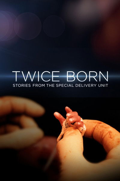 Póster de Twice Born: Stories from the Special Delivery Unit