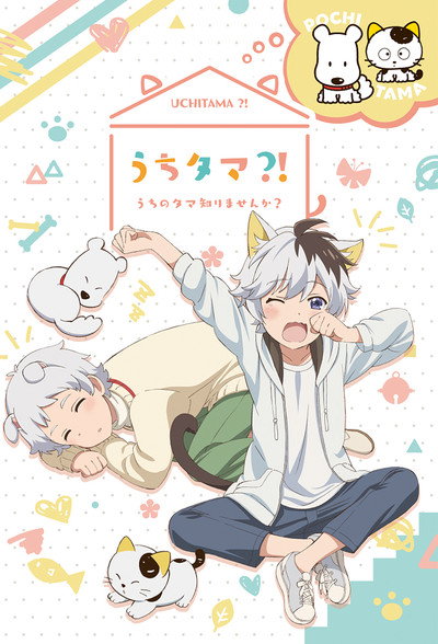 Póster de Uchitama?! Have you seen my Tama?