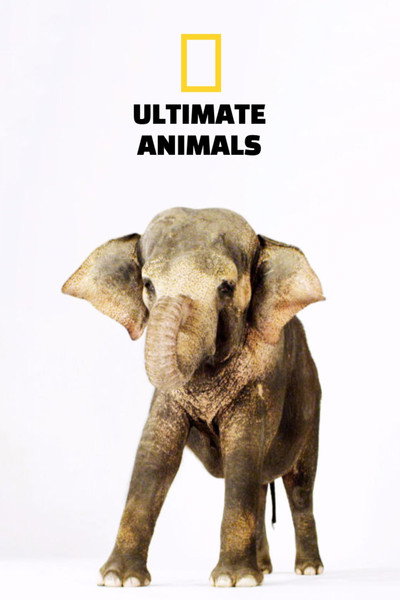 Póster de Ultimate Animals