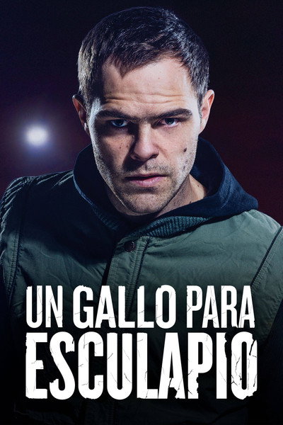 Póster de Un gallo para Esculapio