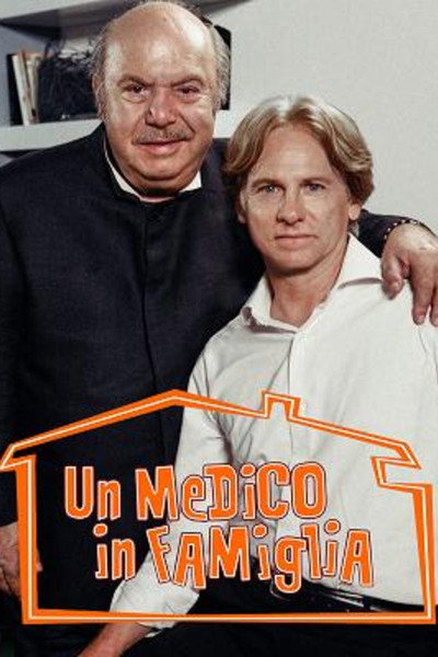 Póster de Un medico in famiglia