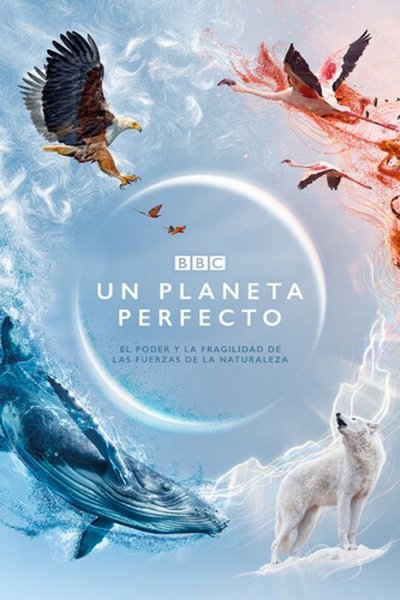 Póster de Un planeta perfecto