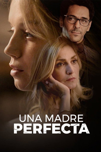 Póster de Una madre perfecta