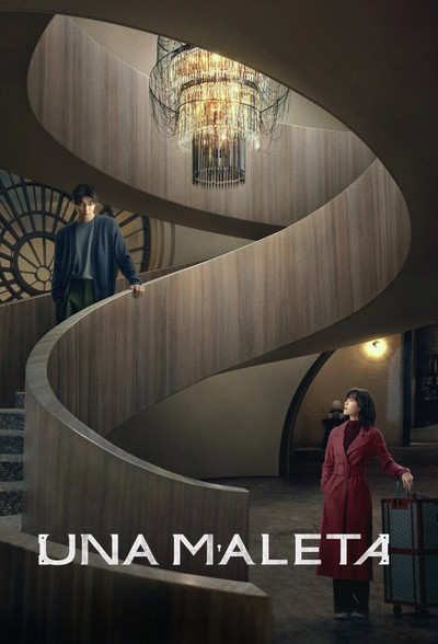 Póster de Una maleta