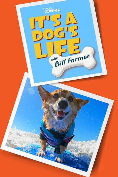 Póster de Una vida de perros, con Bill Farmer