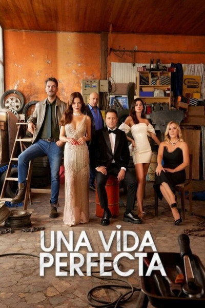 Póster de Una vida perfecta