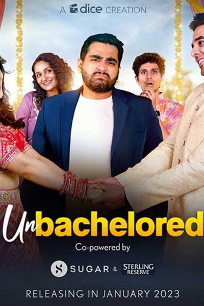 Póster de Unbachelored