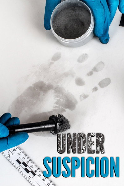 Póster de Under Suspicion
