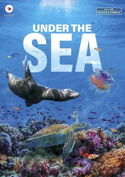 Póster de Under the Sea