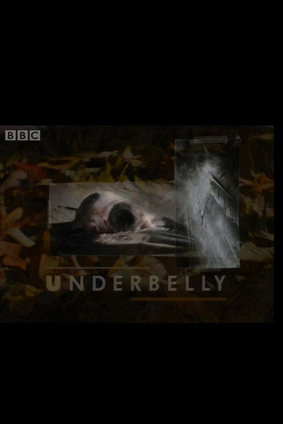 Póster de Underbelly