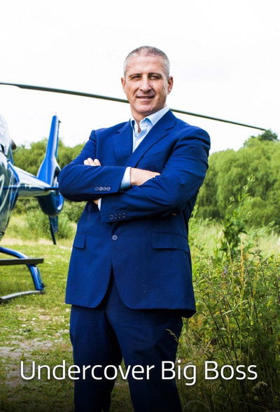 Póster de Undercover Big Boss
