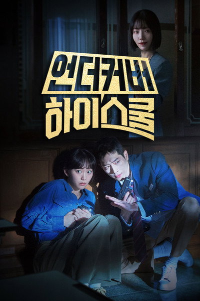 Póster de Undercover High School