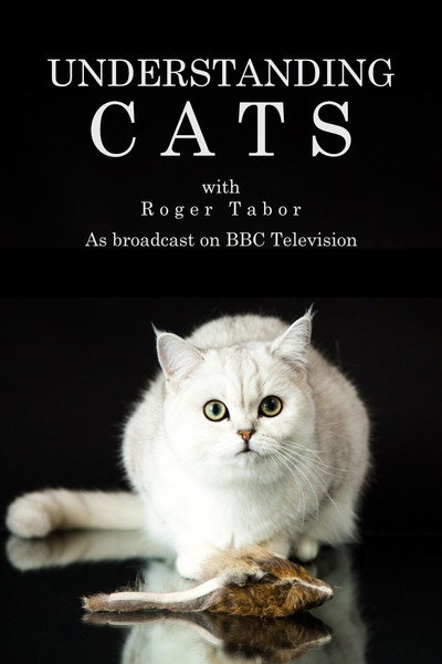 Póster de Understanding Cats