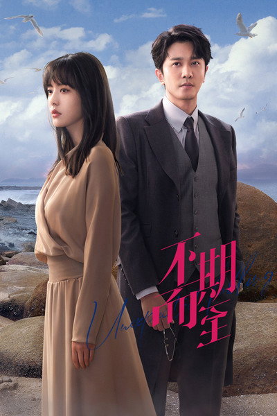 Póster de Unexpected Falling