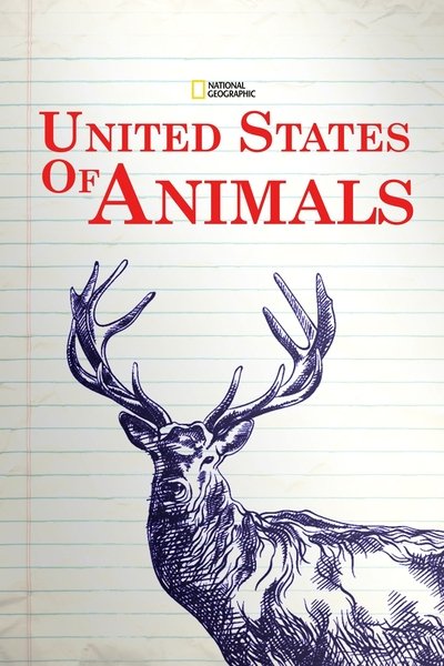 Póster de United States of Animals