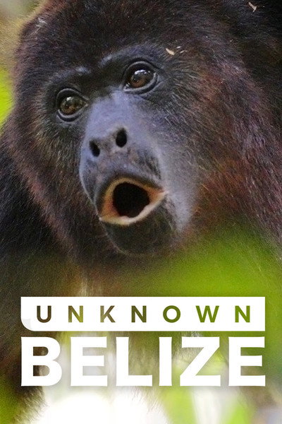 Póster de Unknown Belize