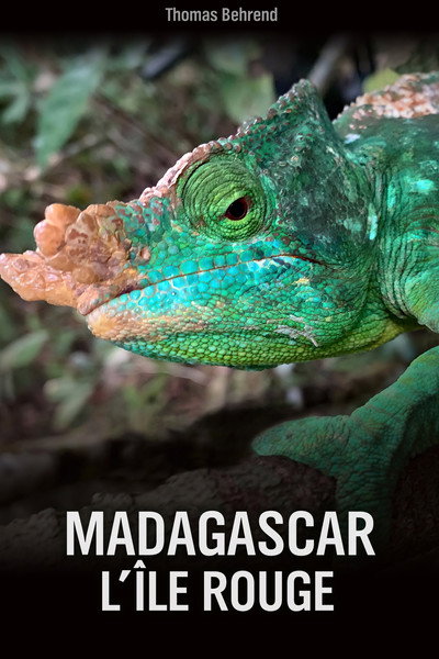 Póster de Unknown Madagascar