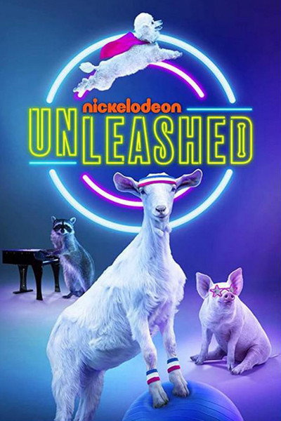 Póster de Unleashed