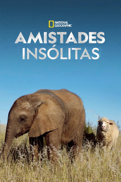 Póster de Unlikely Animal Friends