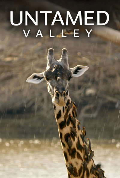 Póster de Untamed Valley