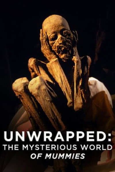 Póster de Unwrapped: The Mysterious World of Mummies