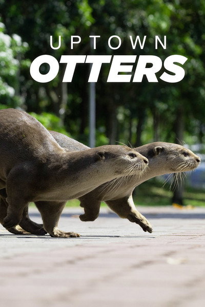 Póster de Uptown Otters