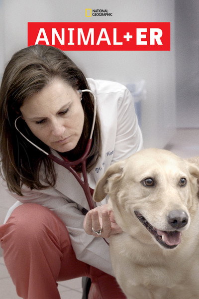 Póster de Urgencias animales