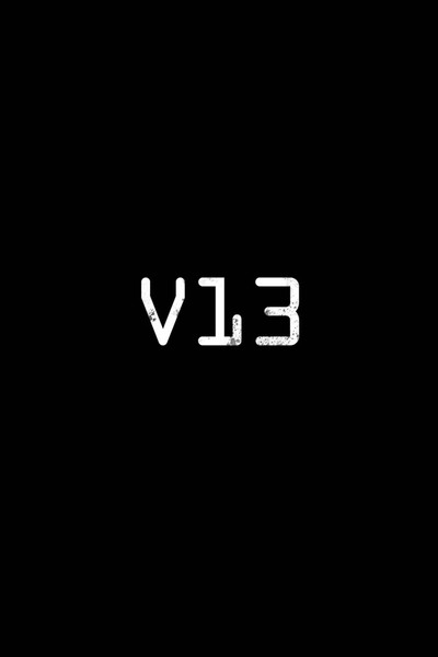 Póster de V13