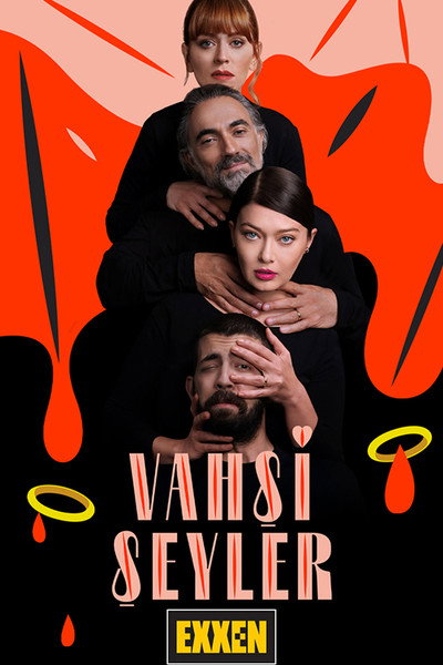 Póster de Vahsi Seyler