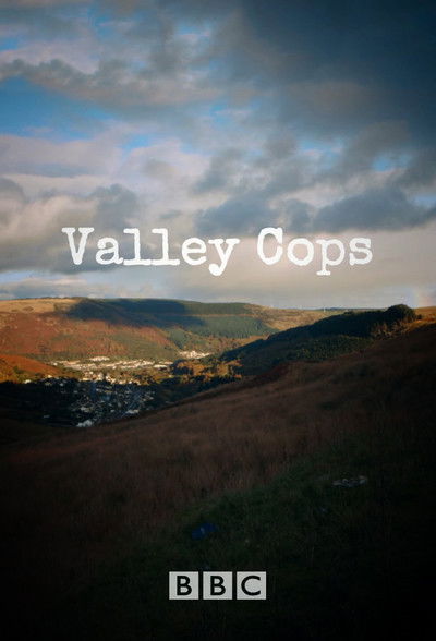 Póster de Valley Cops