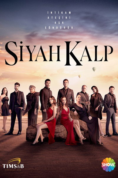 Póster de Valley of Hearts