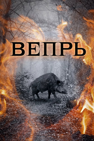 Póster de Vepr