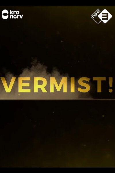 Póster de Vermist!