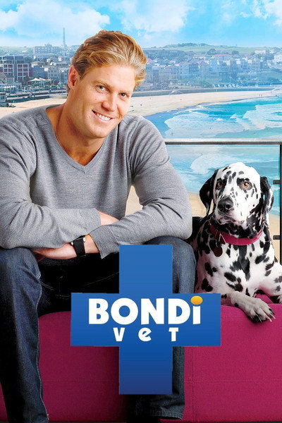 Póster de Veterinario al rescate