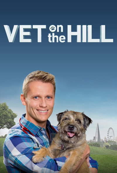 Póster de Veterinario en la ciudad