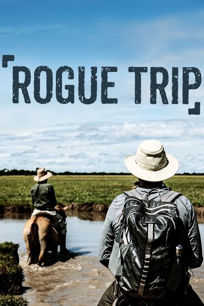 Póster de Viaje a lo oculto