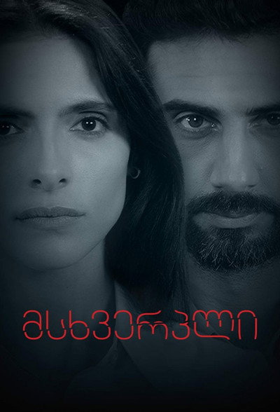Póster de Victim