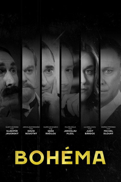 Póster de Vidas Privadas