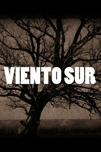 Póster de Viento Sur