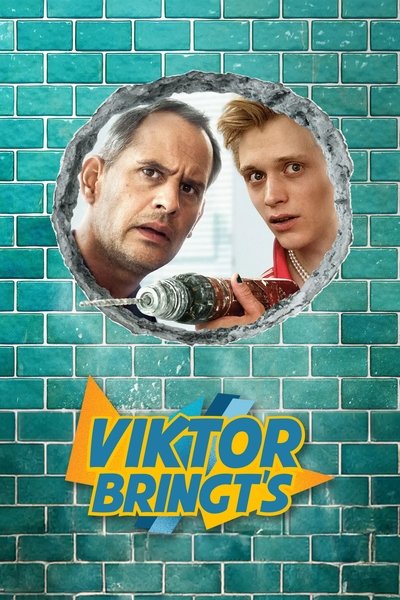 Póster de Viktor Bringt's