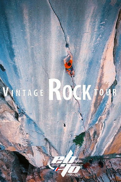Póster de Vintage Rock Tour