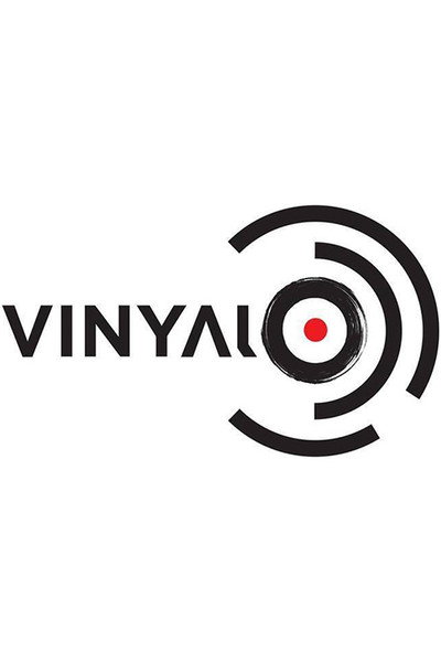 Póster de Vinylio