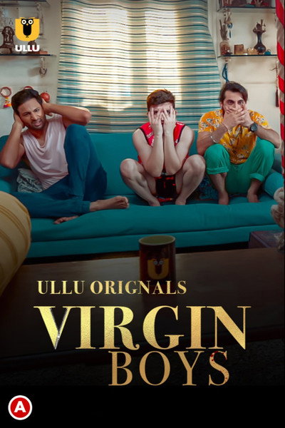 Póster de Virgin Boys