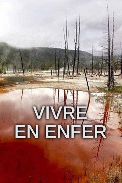 Póster de Vivre en enfer