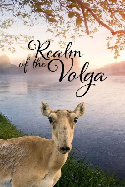 Póster de Volga: Mother of Rivers