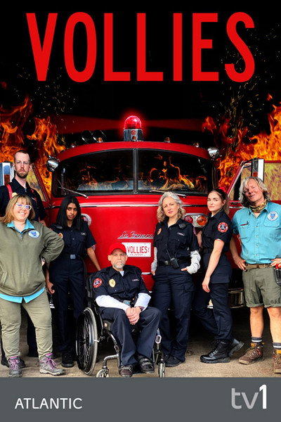 Póster de Vollies
