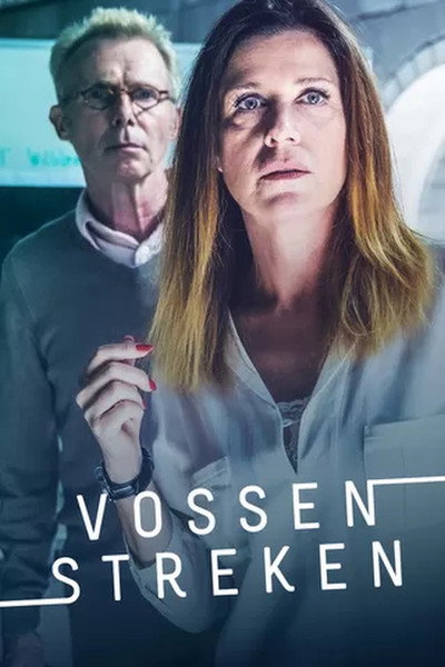 Póster de Vossenstreken
