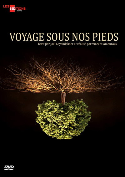 Póster de Voyage sous nos pieds